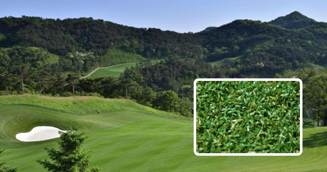 高爾夫人造果嶺