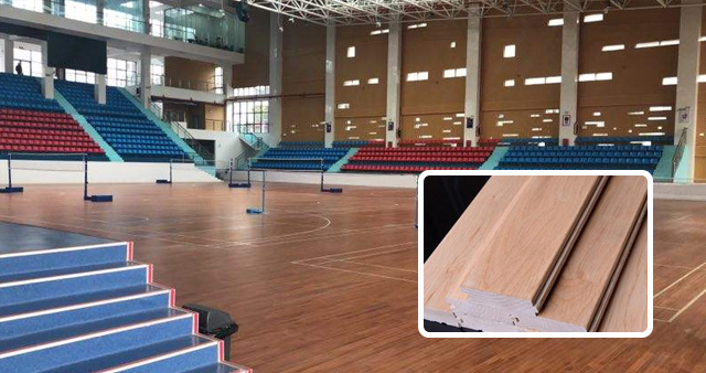 運動木地板