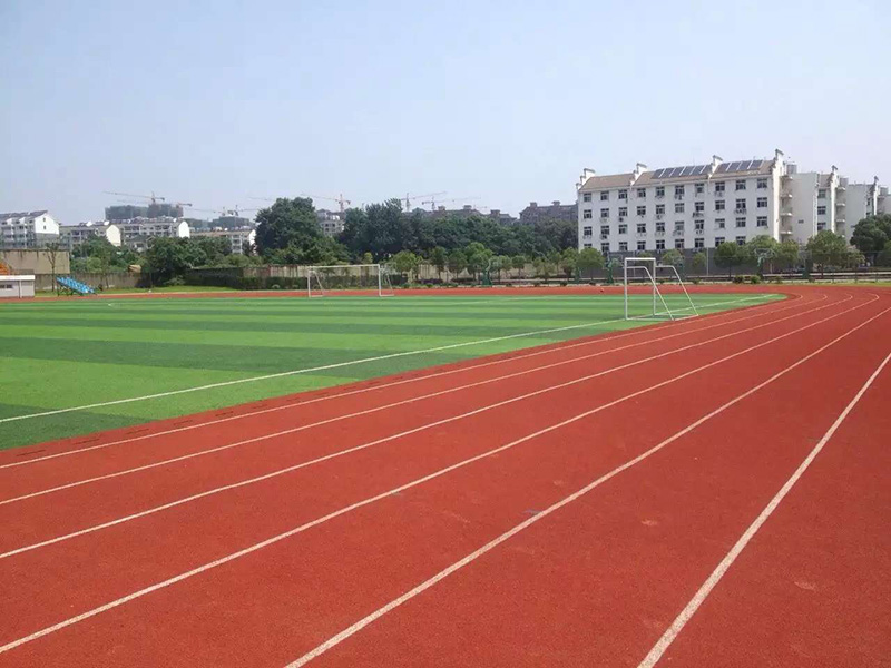 足球場施工案例