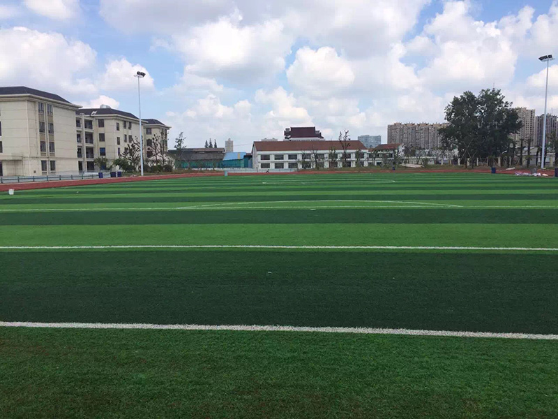 足球場施工案例